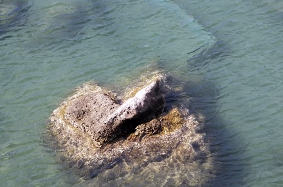 Canicule et faune sauvage : plongée au cœur du centre de sauvegarde La Belette