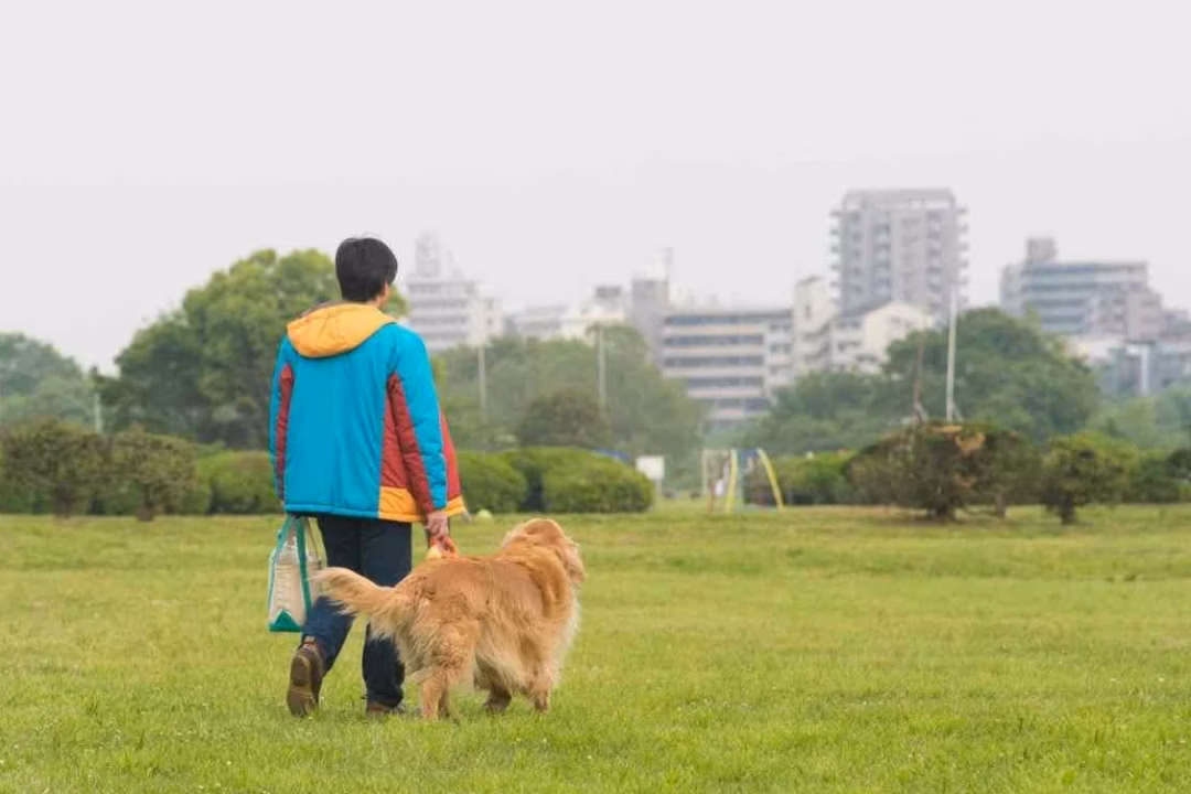 Trouver un éleveur de chien responsable en 2026 : nos critères