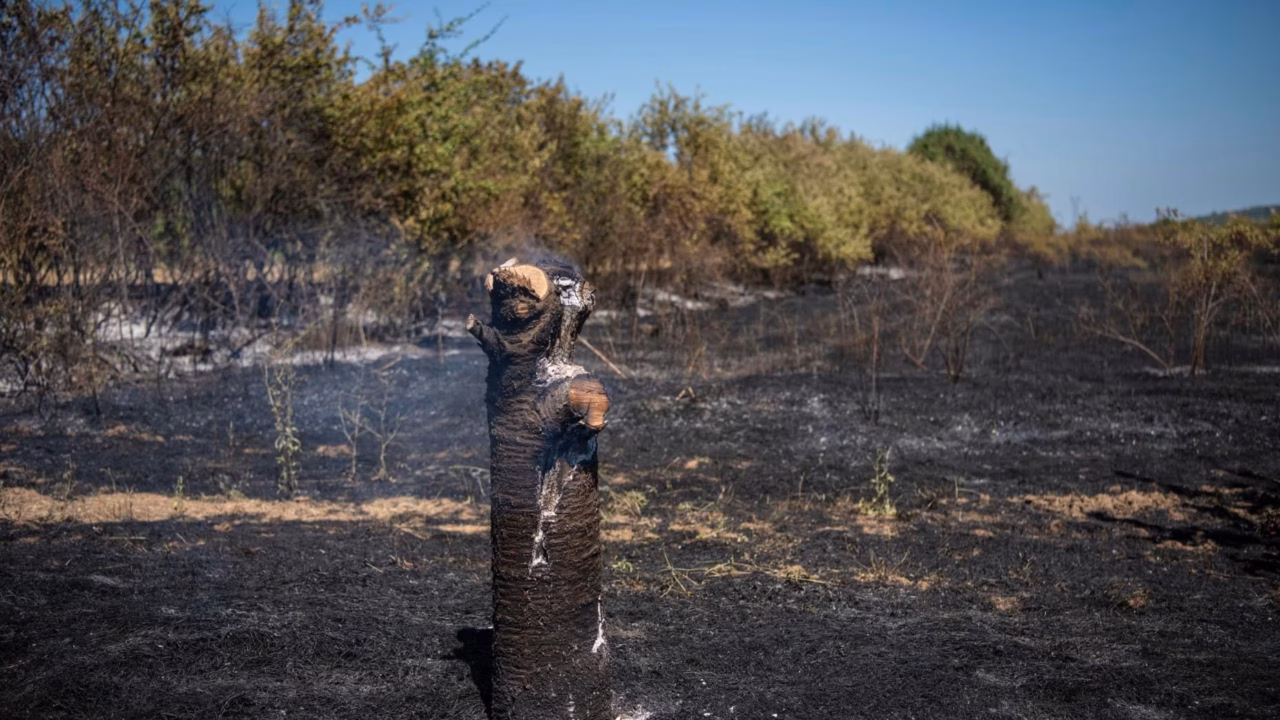 Incendies, sécheresses et fortes chaleurs : les chasseurs varois pointés du doigt après les catastrophes